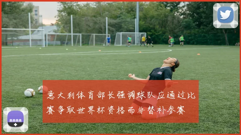 意大利体育部长强调球队应通过比赛争取世界杯资格而非替补参赛